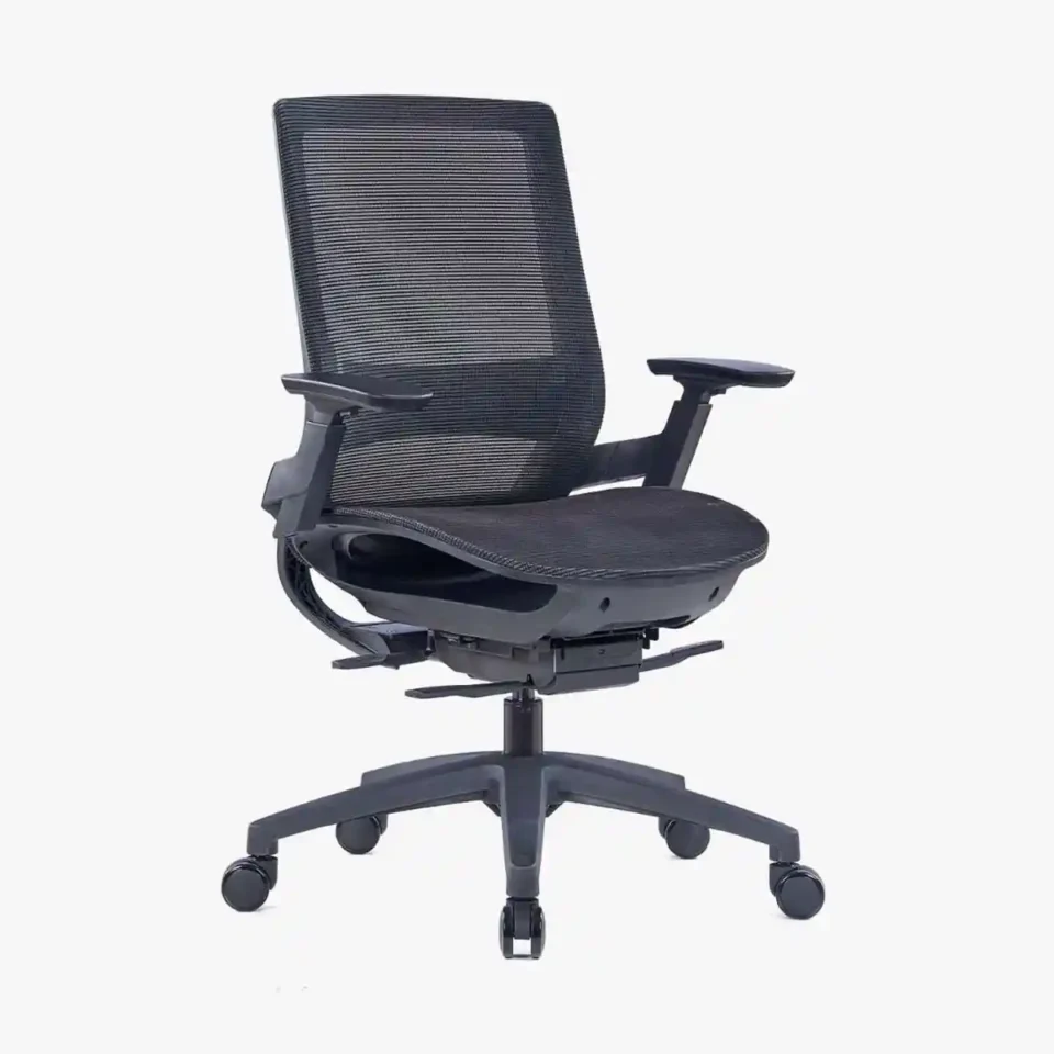 Eberva Ergonomic Mesh Chair Medium Back…