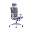 Drako Ergonomic Mesh Chair High Back
