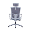 Drako Ergonomic Mesh Chair High Back