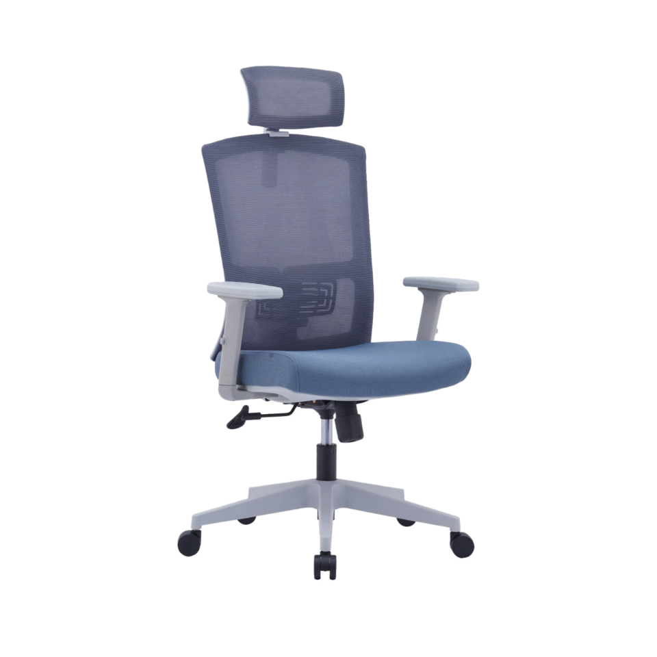 Drako Ergonomic Mesh Chair High Back…
