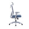 Drako Ergonomic Mesh Chair High Back