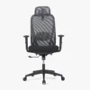 Paluza High Back Ergonomic Chair