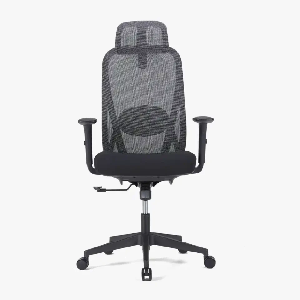 Paluza High Back Ergonomic Chair