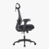Paluza High Back Ergonomic Chair