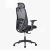 Paluza High Back Ergonomic Chair