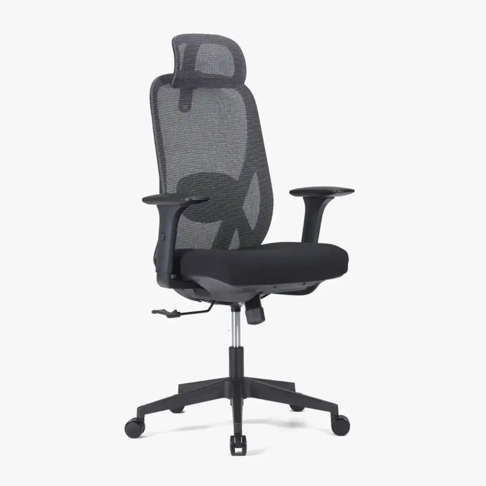 Paluza High Back Ergonomic Chair