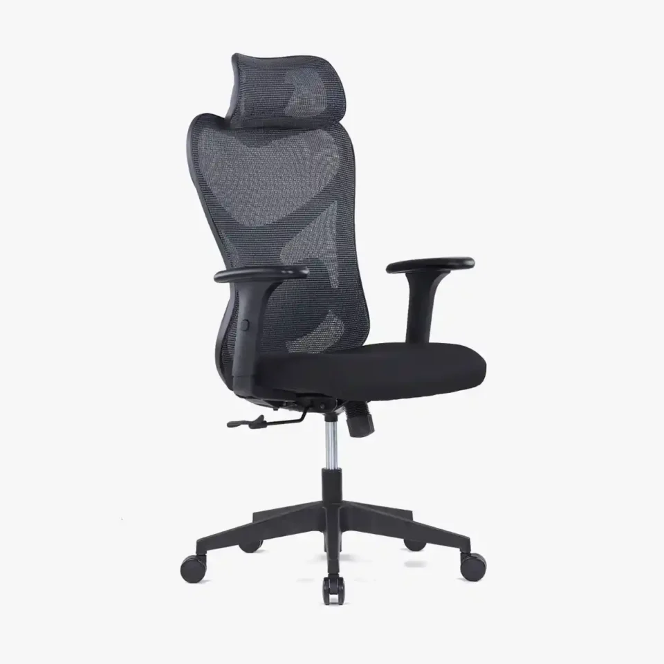 Sitopia High Back Ergonomic Chair