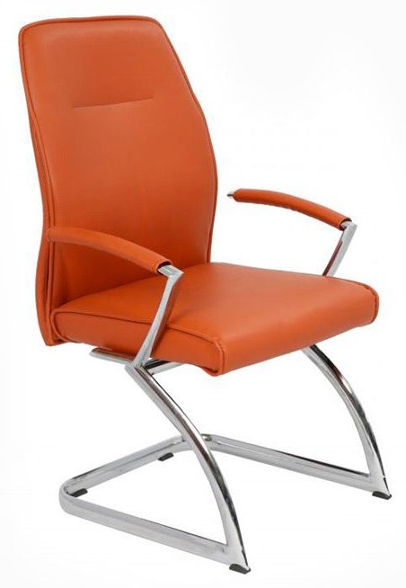 Dolfin Visitor Leather Chair