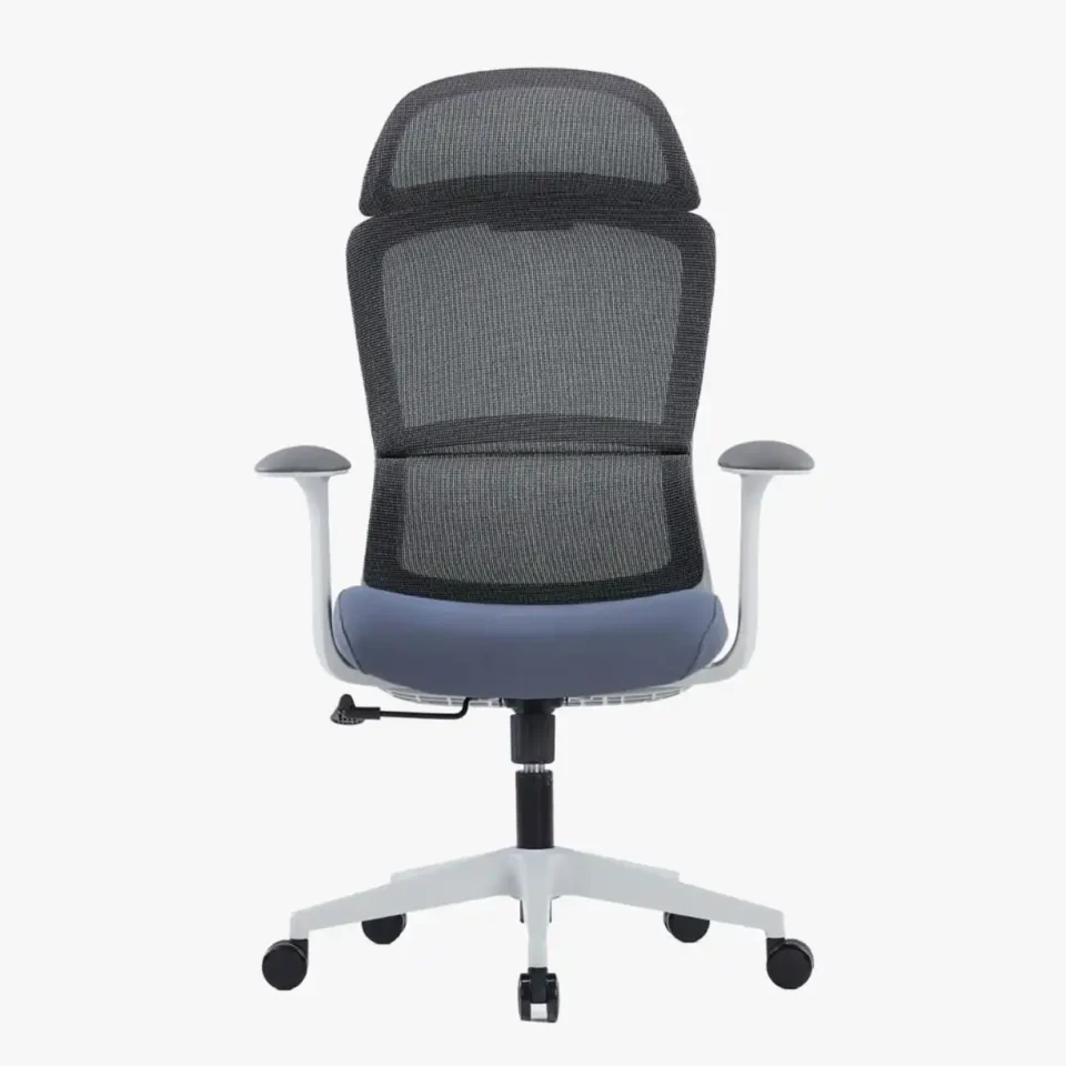 Vitoria Ergonomic High Back Chair