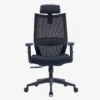 Vizion Ergonomic Mesh Chair High Back