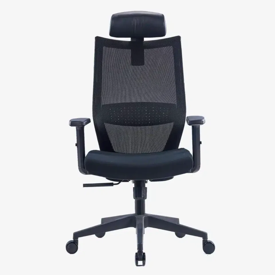 Vizion Ergonomic Mesh Chair High Back…