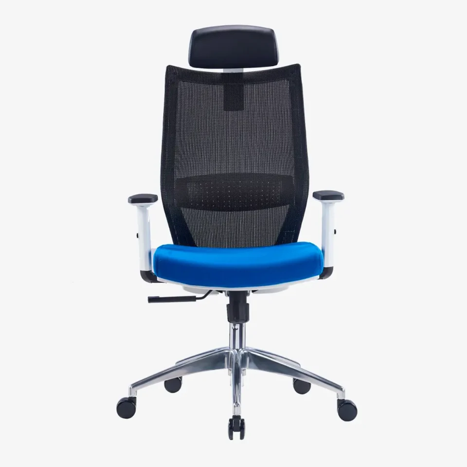 Visia Ergonomic Mesh Chair High Back…