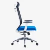 Visia Ergonomic Mesh Chair High Back