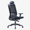 Vizion Ergonomic Mesh Chair High Back