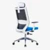 Visia Ergonomic Mesh Chair High Back