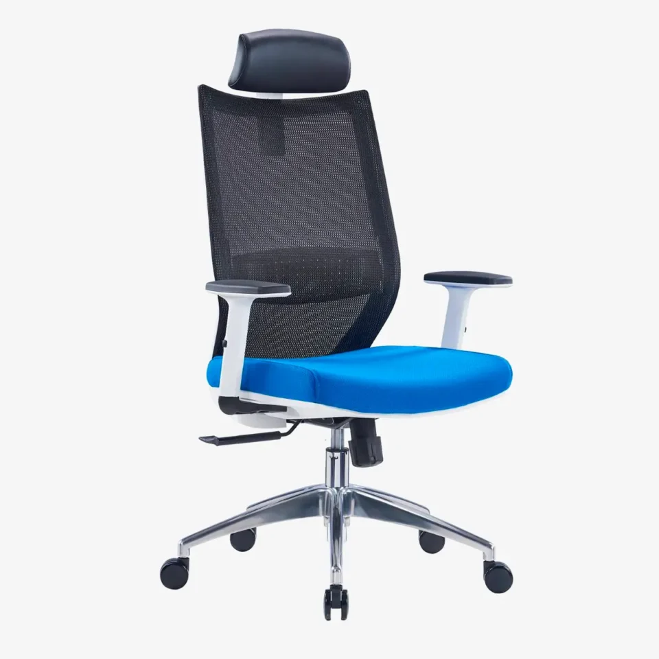 Visia Ergonomic Mesh Chair High Back…