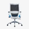 Visia Ergonomic Mesh Chair Medium Back