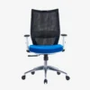 Visia Ergonomic Mesh Chair Medium Back