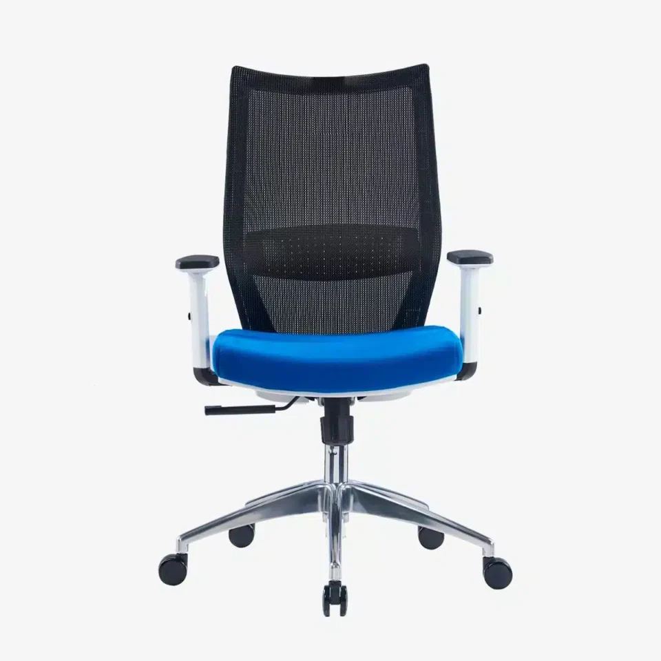 Visia Ergonomic Mesh Chair Medium Back…