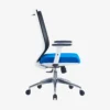 Visia Ergonomic Mesh Chair Medium Back