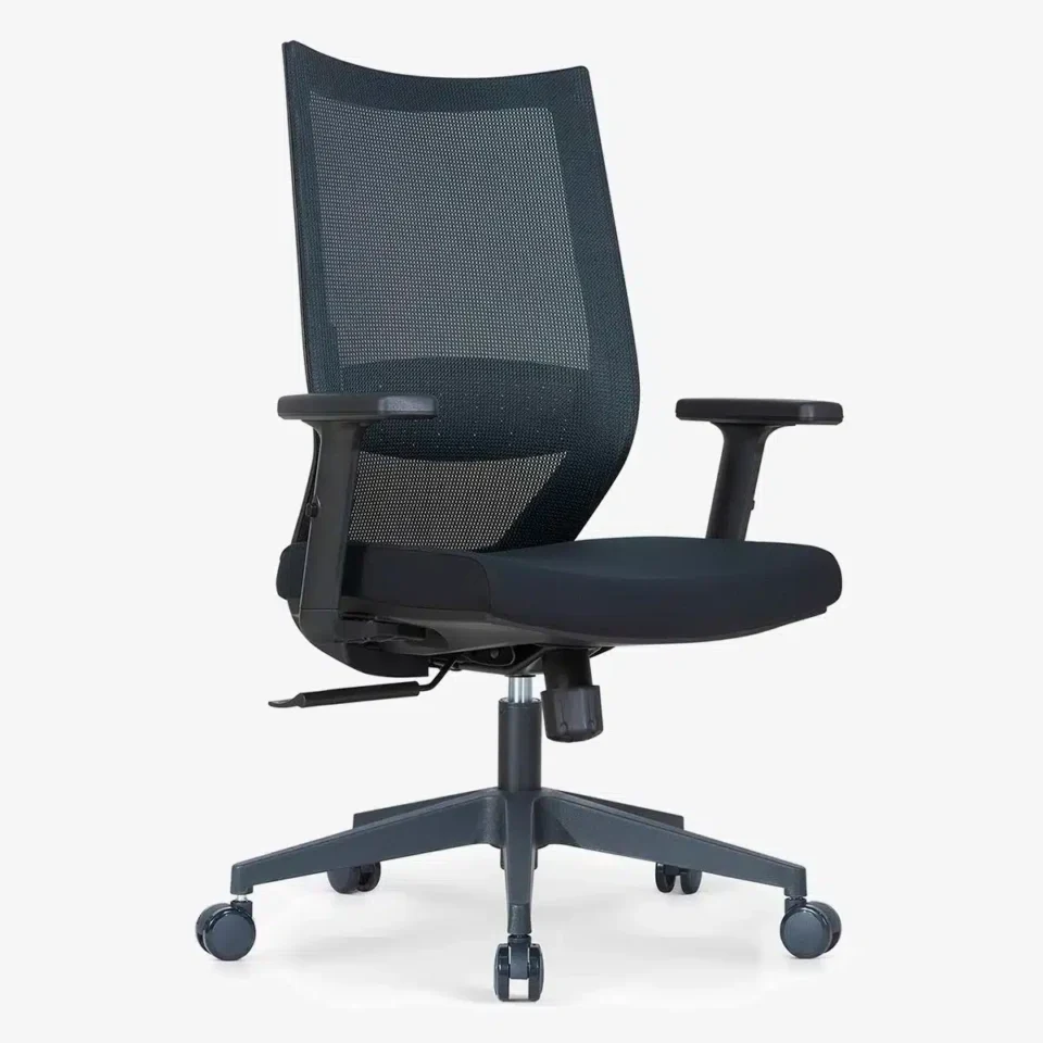 Vizion Ergonomic Mesh Chair Medium Back