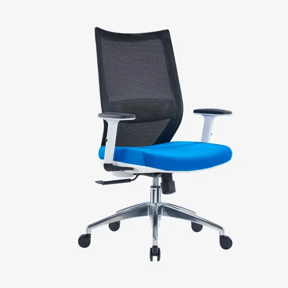 Visia Ergonomic Mesh Chair Medium Back…