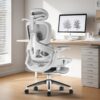 Ergonomic Chairs