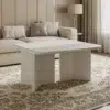AstraEdge Modern Coffee Table