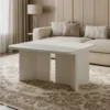 AstraEdge Modern Coffee Table