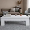 Livon Modern Centre Table
