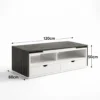 Lumora Modern Centre Table with Storage