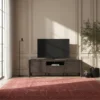 Modern Homestead TV Unit