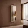 Swivel Wall Hanging Mirror