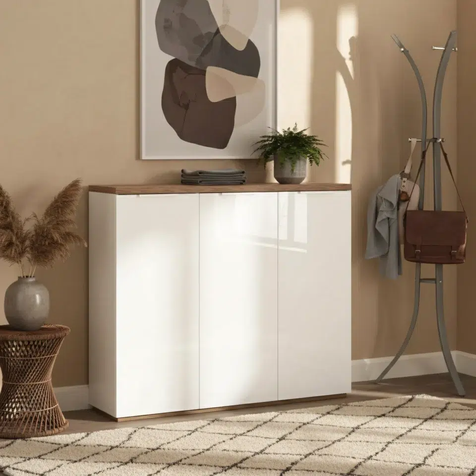 Vertiva Modern Shoe Cabinet