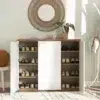 Vertiva Modern Shoe Cabinet