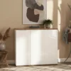 Vertiva Modern Shoe Cabinet