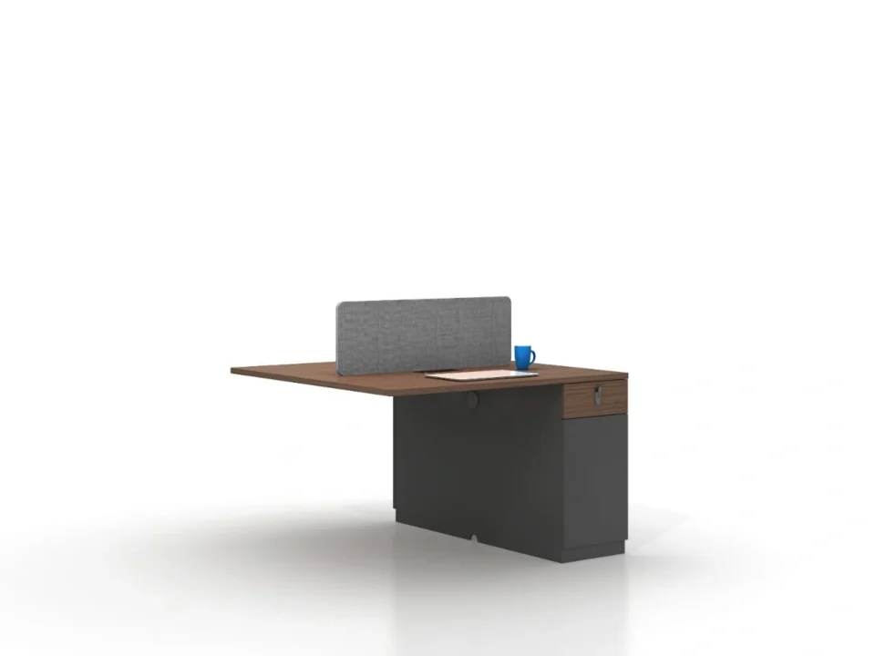 2 Person Office Workstation