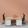 2-Person Office Workstation with Divider