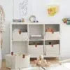 Cubby Storage Bookcase