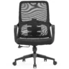 Ergonomic Mesh Chair