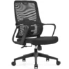 Ergonomic Mesh Chair