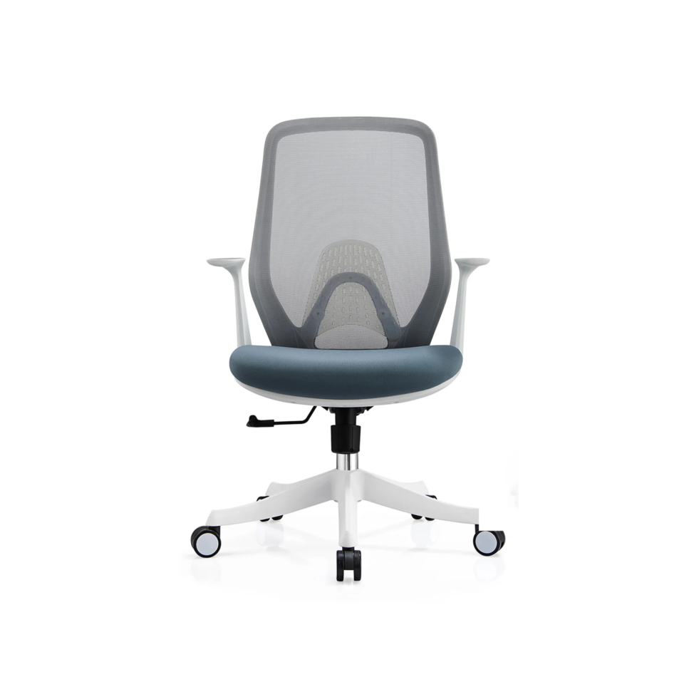 Ergonomic Office Chair