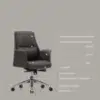 Low Back Executive Chair