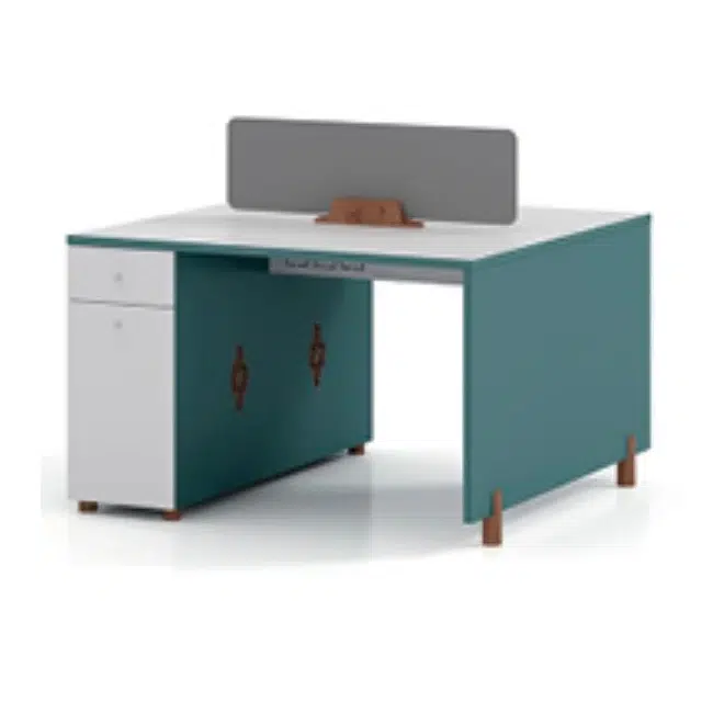 Office Workstation with Panel