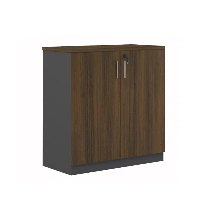 Wooden Books Cabinet