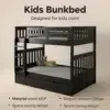 Loft Bunk Bed