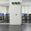 Guinna 2 Door Metal Filing Cabinet
