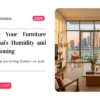 Protecting Your Furniture From Dubai’s Humidity and Air Conditioning: What Every UAE Family Must Know