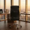 Saffet Ergonomic Office Leather Chair