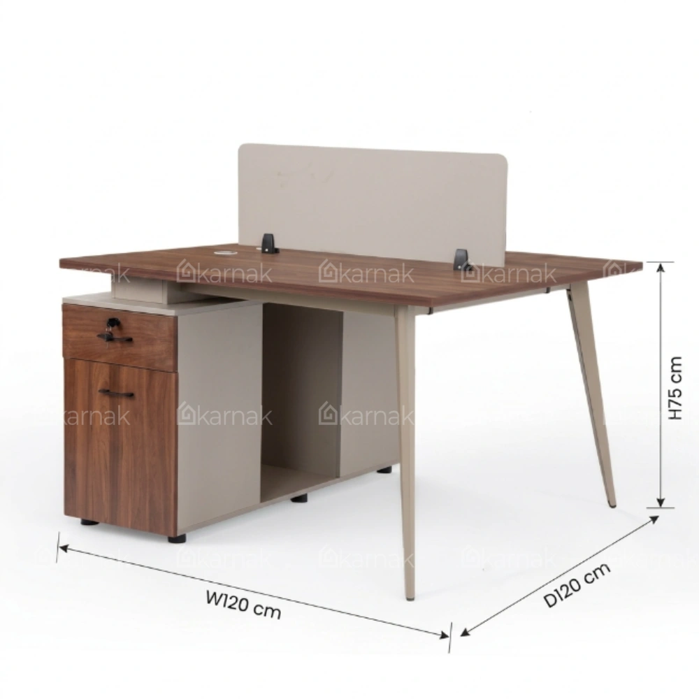 Aevar 2 Person Workstation Desk